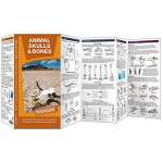 Mammal Identification Guides :Animal Skulls & Bones LAMINATED DURAGUIDE