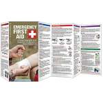 Wilderness & Survival Field Guides :Emergency First Aid