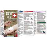 Emergency First Aid