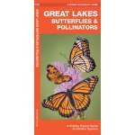 Great Lakes Butterflies & Moths