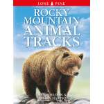 Rocky Mountain Animal Tracks