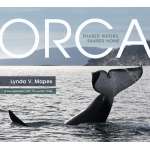 Orca: Shared Waters, Shared Home