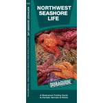 Aquarium Gifts and Books :Northwestern Seashore Life