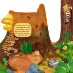 Board Books :Discovering the Hidden Woodland World