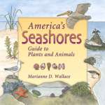 Beachcombing & Seashore Field Guides :America's Seashores: Guide to Plants and Animals