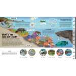 Fish, Sealife, Aquatic Creatures :All the Way Down: Ocean