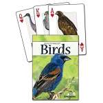 Bird Identification Guides :Birds of the Southwest Playing Cards