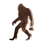 Sassy-Squatch MAGNET