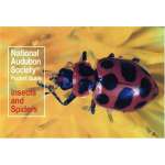 Insect Identification Guides :National Audubon Society Pocket Guide: Insects and Spiders
