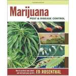 Marijuana Pest and Disease Control: How to Protect Your Plants and Win Back Your Garden