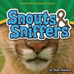 Board Books :Snouts & Sniffers