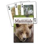 Mammals of the Northwest Playing Cards