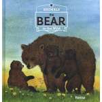 Animals in the Wild: The Bear