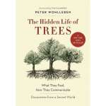 The Hidden Life of Trees: What They Feel, How They Communicate—Discoveries from a Secret World