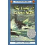 Young Adult & Children's Novels :Light at Tern Rock