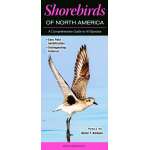 Bird Identification Guides :Shorebirds of North America