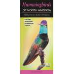 Hummingbirds of North America