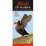 Bird Identification Guides :Birds of Alaska