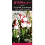Plant & Flower Identification Guides :Wildflowers of the Sierra Nevada