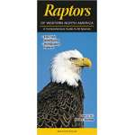 Bird Identification Guides :Raptors of Western North America: A Comprehensive Guide to All Species