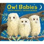 Board Books :Owl Babies