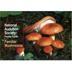 Mushroom Identification Guides :National Audubon Society Pocket Guide to Familiar Mushrooms