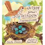 Outside Your Window: A First Book of Nature