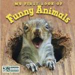 Board Books :My First Book of Funny Animals