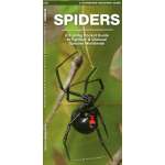 Outdoors, Camping & Travel :Spiders: A Folding Pocket Guide to Familiar Species Worldwide