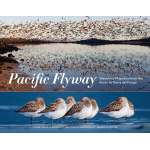 Pacific Flyaway: Waterbird Migration from the Arctic to Tierra del Fuego