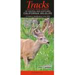 California :Mammals of Central and Northern California: Tracks, Scats and Signs