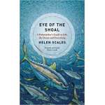 Eye of the Shoal: A Fishwatcher's Guide to Life, the Ocean and Everything PAPERBACK