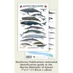 Hawaii Marine Mammal Identification Guide  - Book
