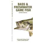 Bass & Freshwater Game Fish of North America: An Illustrated Folding Pocket Guide to Familiar Species - Book