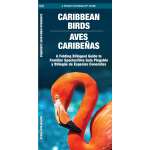 Caribbean Birds/Aves Caribenas: A Folding Pocket Guide to Familiar Species/Una Guia Plegable Portatil de Especies Conocidas  - Book