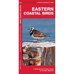 Eastern Coastal Birds: A Waterproof Folding Guide to Familiar Species  - Book