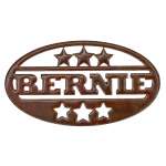 Bernie - Magnet