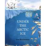 Under the Arctic Ice