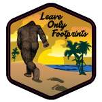 Leave Only Footprints Beach - Vinyl Sticker (10 pack)
