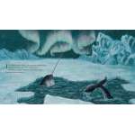 Narwhal: The Arctic Unicorn - Book - Paracay