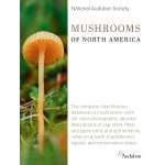 National Audubon Society Mushrooms of North America