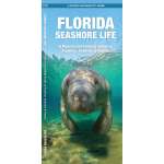 Florida Seashore Life: A Waterproof Folding Guide to Familiar Animals & Plants