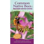 Common Native Bees of the Western United States - Book