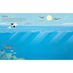 First Sticker Book Narwhals - Book - Paracay