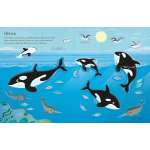 First Sticker Book Narwhals - Book - Paracay