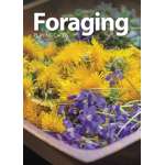 Foraging - Playing Cards