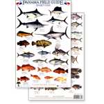 Panama Sport Fish (Laminated 2-Sided Card)