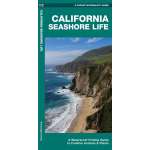 California Seashore Life: A Waterproof Folding Guide to Familiar Animals & Plants 2nd ed.