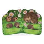 A Little Hedgehog - Book - Paracay