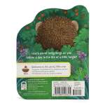 A Little Hedgehog - Book - Paracay
